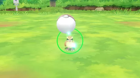 Pokemon: Let’s Go, Eevee! + Poke Ball Plus Pack (Switch)
