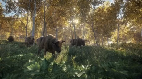 The Hunter: Call of the Wild 2019 Edition Русская версия (Xbox One)