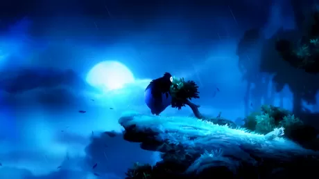 Ori and the Blind Forest: Definitive Edition (Switch)