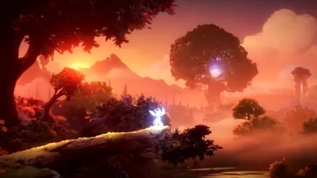 Ori and the Will of the Wisps (Switch)