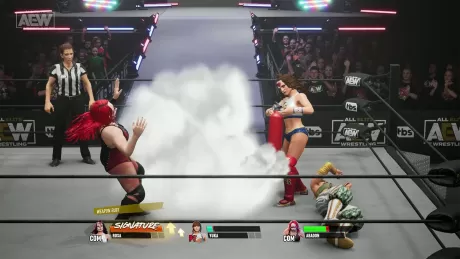 AEW Fight Forever (Switch)
