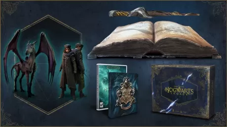 Hogwarts Legacy Collectors Edition (PS4)