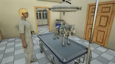 Animal Doctor (PS4)