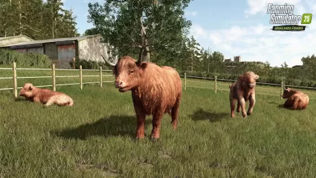Farming Simulator 25: Highlands Fishing Edition (PS5)