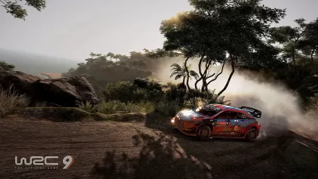 WRC 9 (PS4)