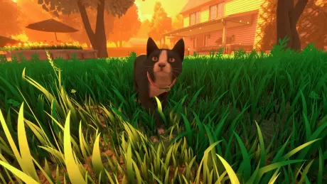 Copycat (PS5)