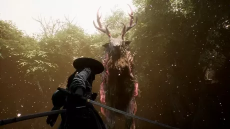 Beast of Reincarnation (PS5)