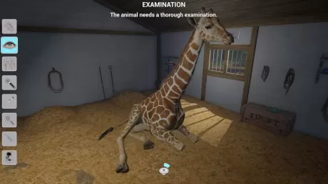 My Vet Practice In The Zoo (PS5)