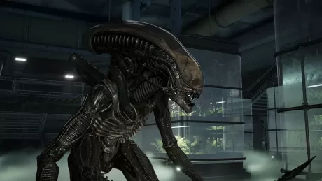 Aliens: Fireteam Elite 2 (PS5)