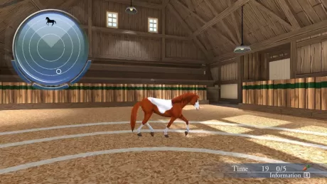 My Riding Stables: Life With Horses (Switch)