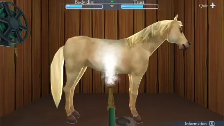 My Riding Stables: Life With Horses (Switch)
