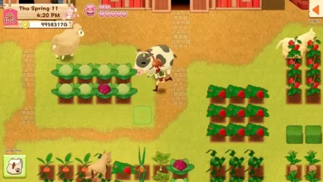 Harvest Moon: Light of Hope Special Edition (PS4)