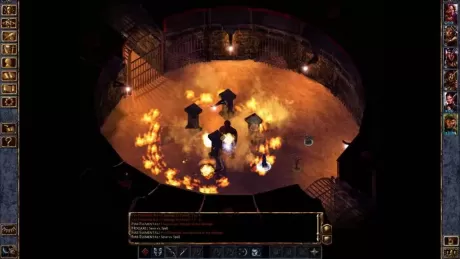 Baldur's Gate: Enhanced Edition + Baldur's Gate II (2): Enhanced Edition - Коллекционное издание Русская версия (Switch)