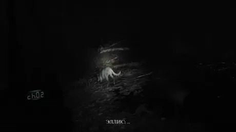 Blair Witch Русская Версия (PS4)