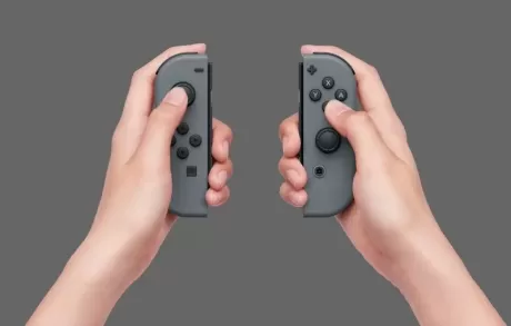 Nintendo Switch Gray (Серая) (2019)