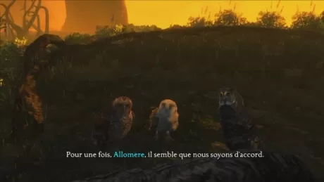 Legend of the Guardians: The Owls of Ga'Hoole (Легенды ночных стражей) (XBox 360)