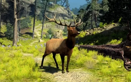 Cabela's Big Game Hunter (Xbox 360)