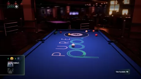 Pure Pool Русская Версия (PS4)